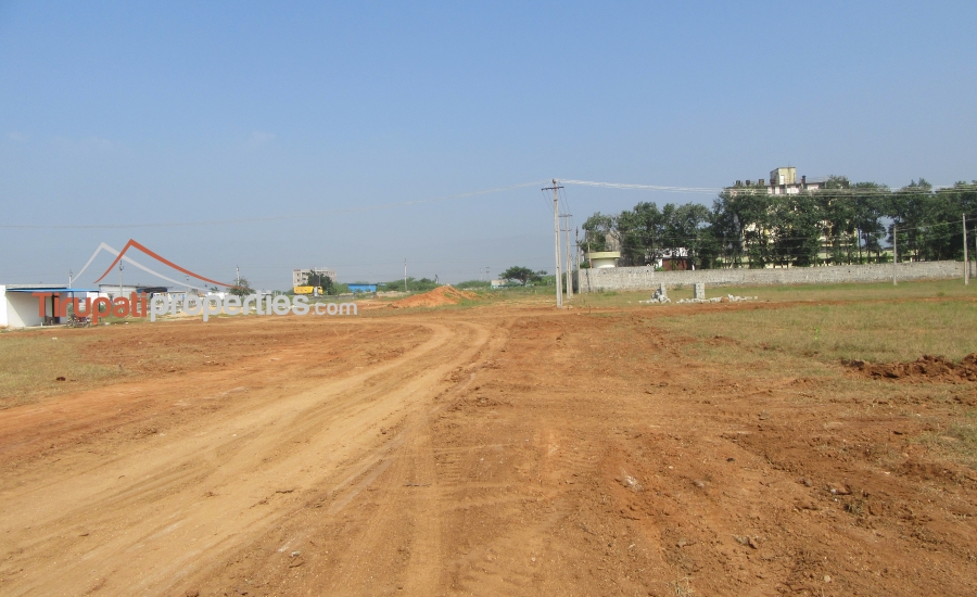 Plots for Sale Near Chadalawada College Renigunta Road, Tirupati